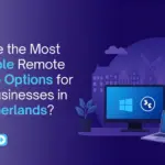 What Are the Most Affordable Remote Desktop Options for Small Businesses in the Netherlands?